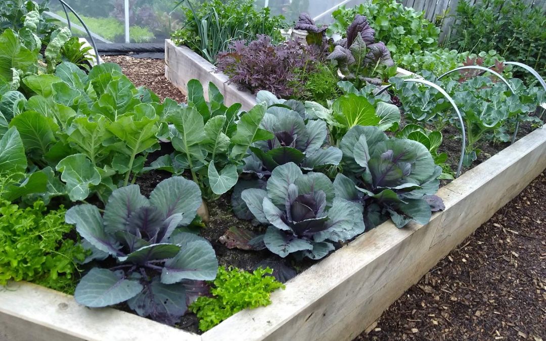Garden for Life