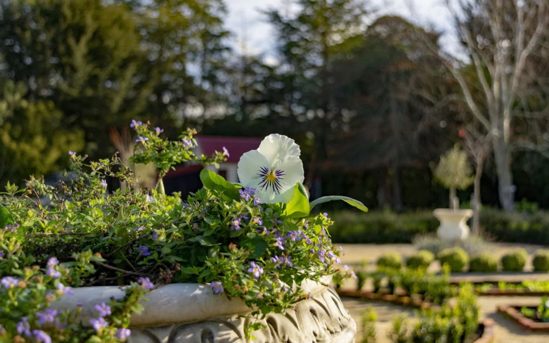 Totara Cottage
