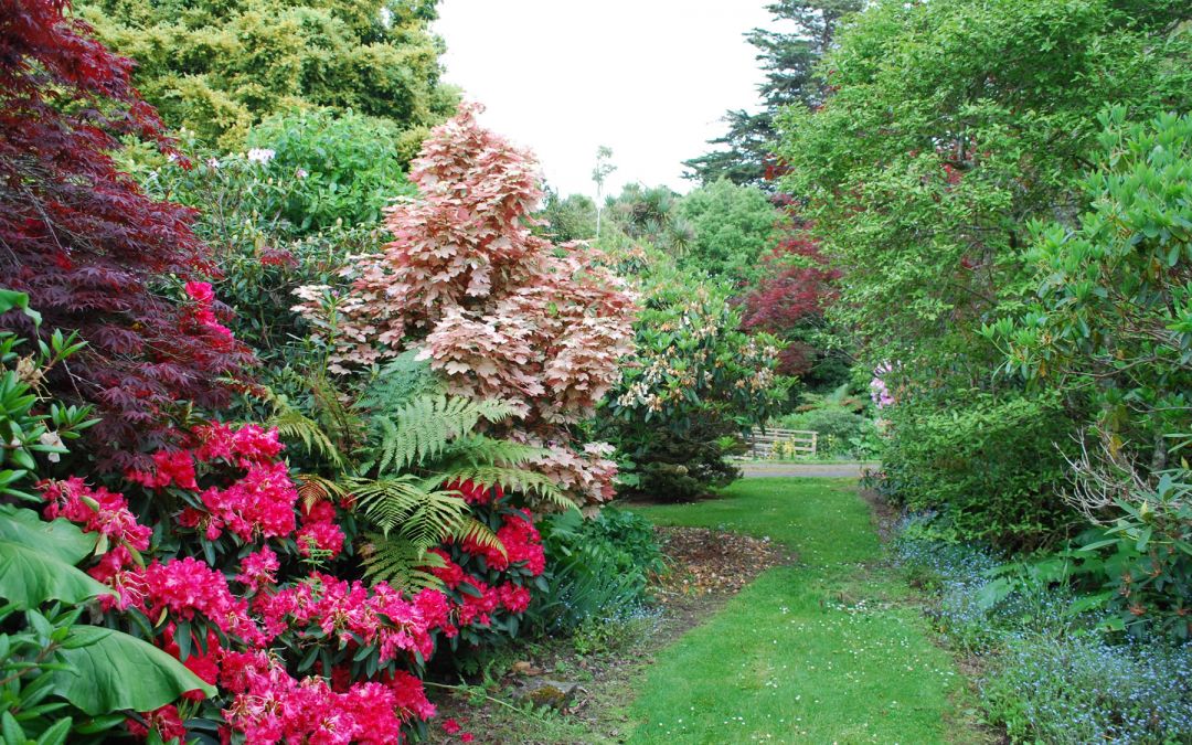 Braemore Farm Garden