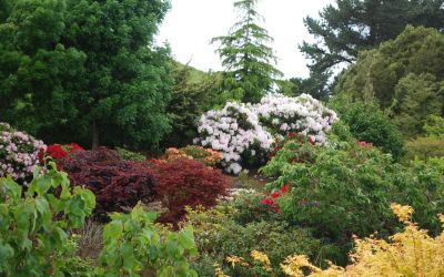 13: Braemar Farm Gardens