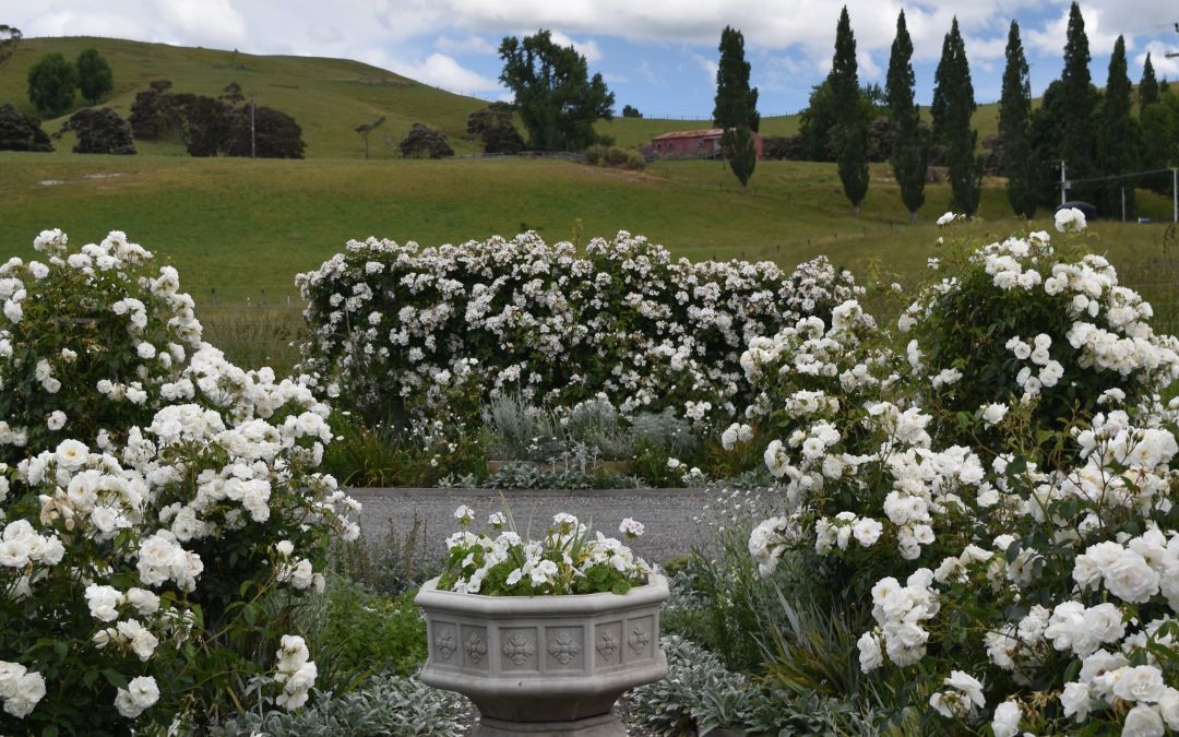 Longbush Cottage