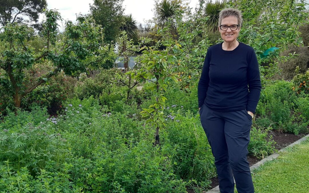 Jane’s Garden