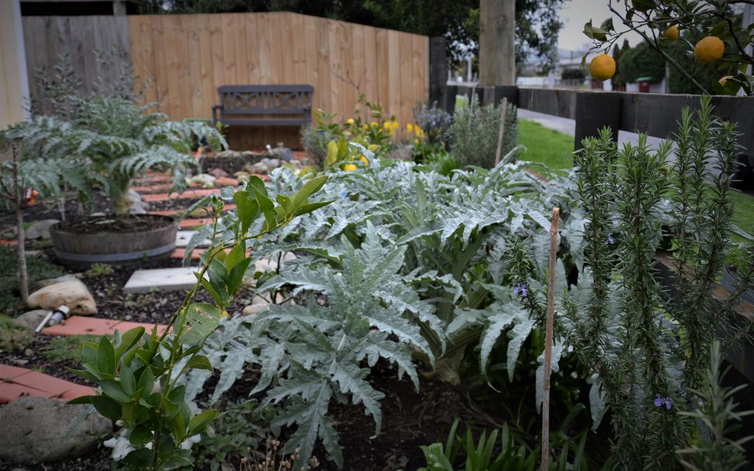 The Prodigal Daughter’s Potager Garden