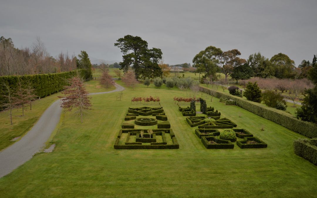 Te Rākau Pāmamao