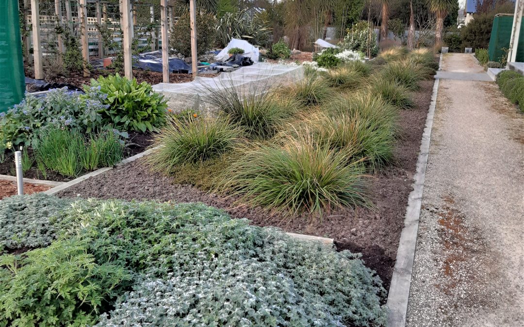 Jane’s Garden