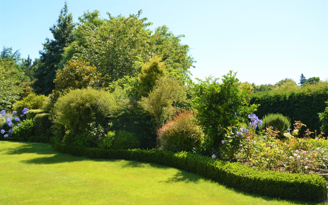 The Paddock