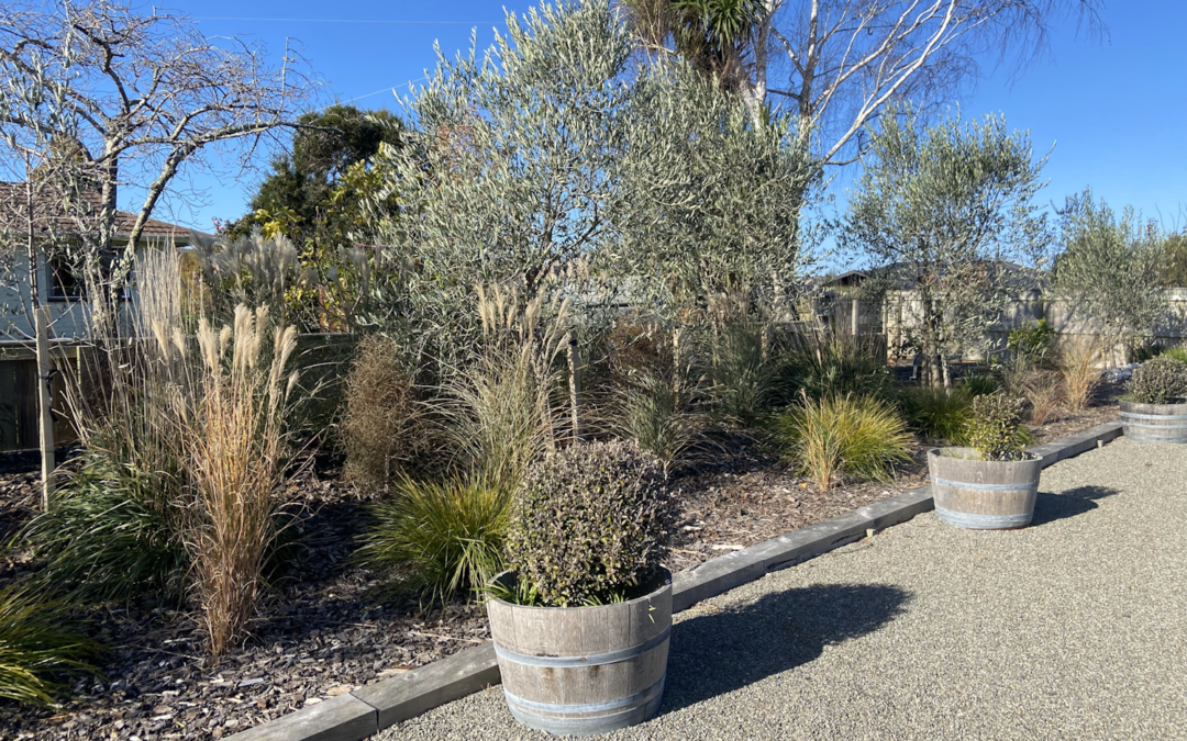 Kate’s Garden