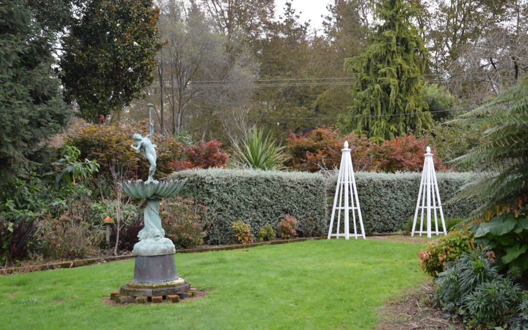 Chris’s Garden