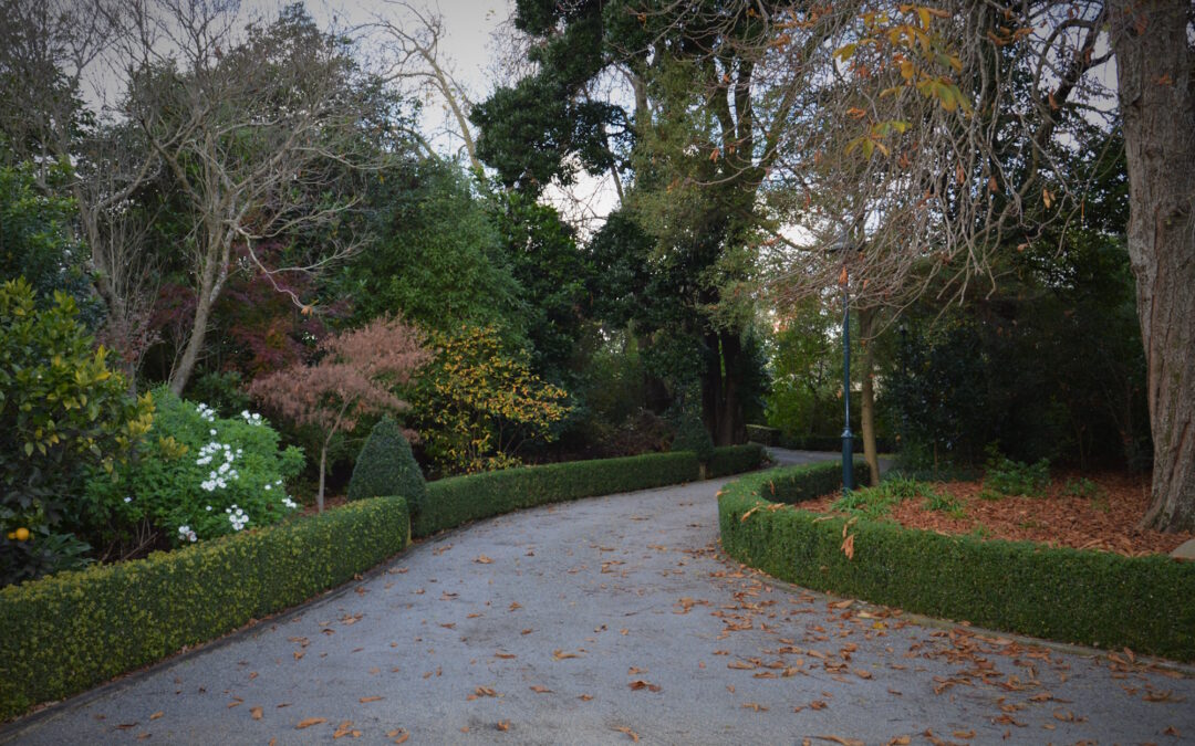 Jenny’s Garden