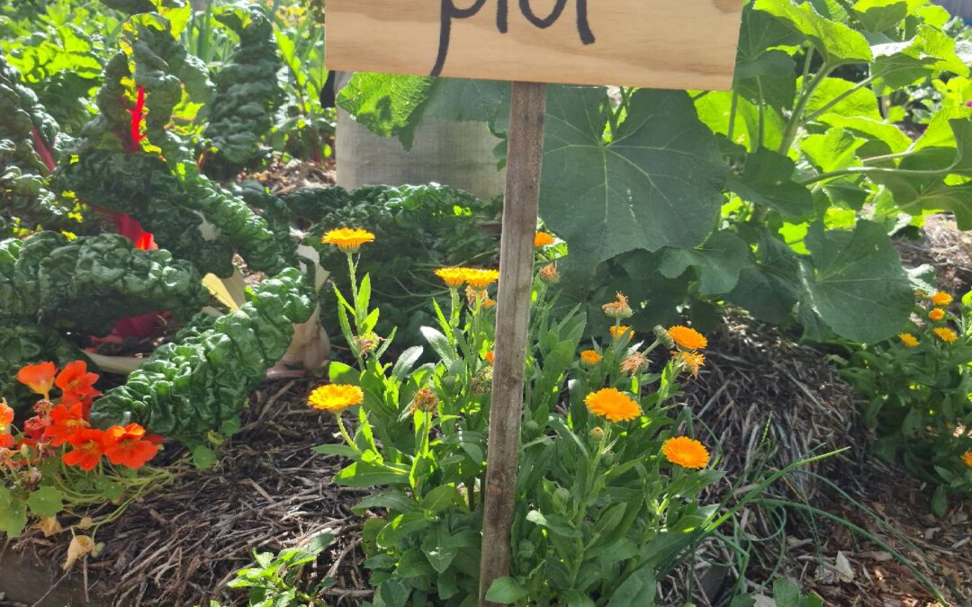 GROW Community Gardens