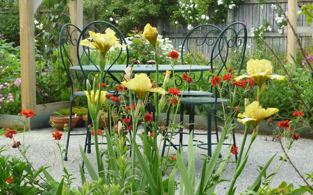 Dianne’s Garden