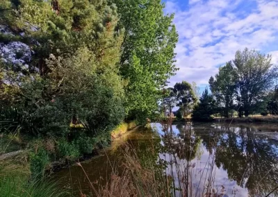 Jardin du Lac Lake Garden 4 Wairarapa Garden Tour