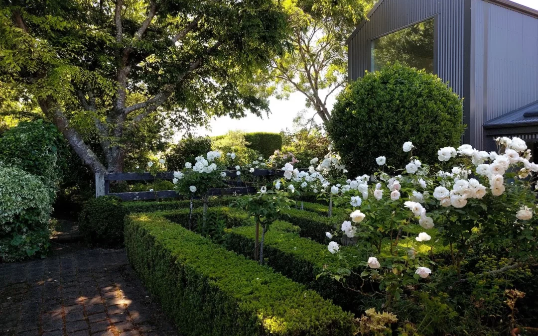 05: The Sculptor’s Garden