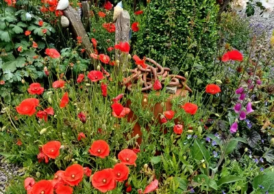 Carpe Diem 33 Wairarapa Garden Tour 2025