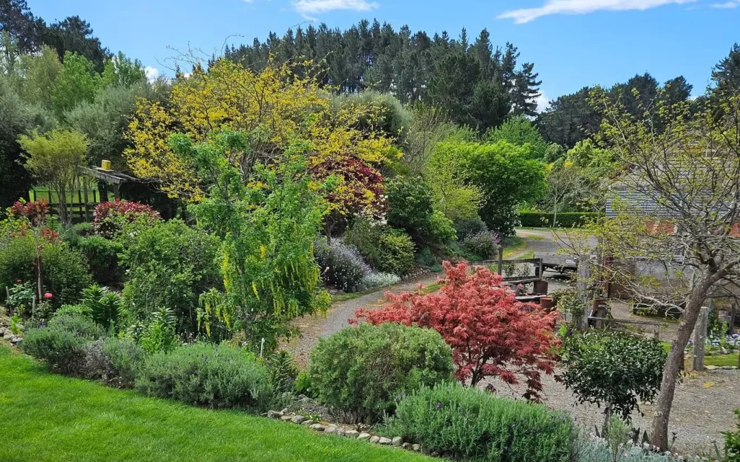 12: Summerhouse Garden