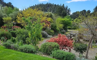 12: Summerhouse Garden