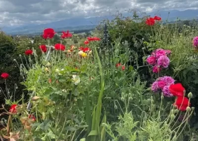 Little Ardsley 679 Wairarapa Garden Tour 2025