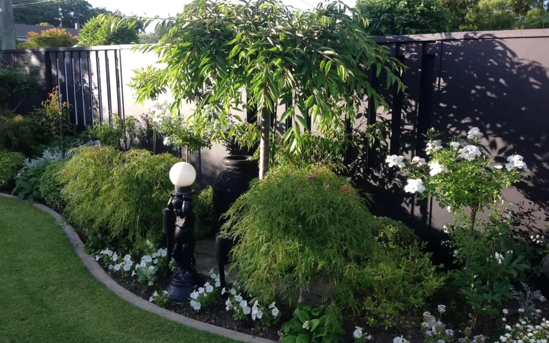 03: Sonia’s Garden