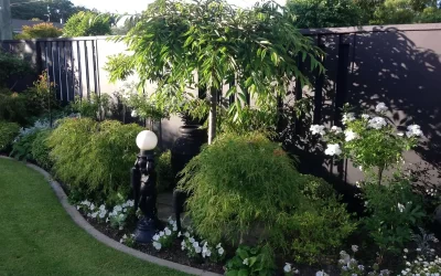 03: Sonia’s Garden
